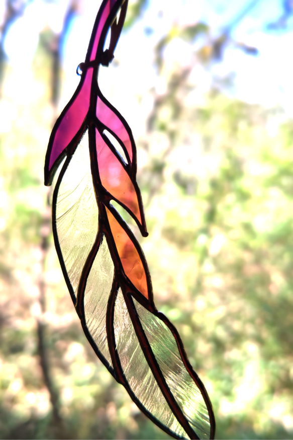 羽根は、桃色に染まって 3枚目の画像