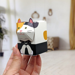 3匹のおめかしネコBOX / ペーパークラフト / ギフトボックス / クリアケース付き 3枚目の画像