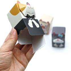 3匹のおめかしネコBOX / ペーパークラフト / ギフトボックス / クリアケース付き 4枚目の画像