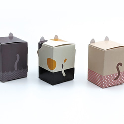 3匹のおめかしネコBOX / ペーパークラフト / ギフトボックス / クリアケース付き 6枚目の画像