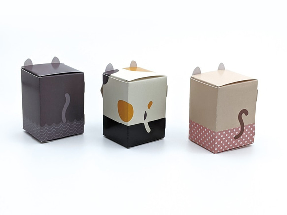 3匹のおめかしネコBOX / ペーパークラフト / ギフトボックス / クリアケース付き 6枚目の画像