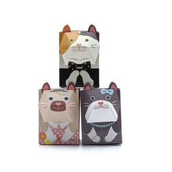 3匹のおめかしネコBOX / ペーパークラフト / ギフトボックス / クリアケース付き 7枚目の画像