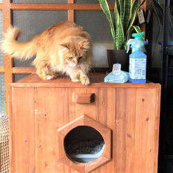 猫（ねこ） ハウス・小屋 のおすすめ人気通販｜Creema(クリーマ