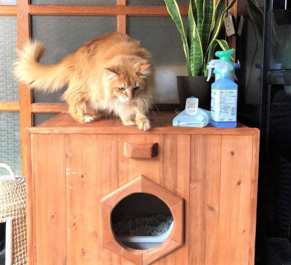 柿渋塗ネコのくつろぎボックス 柿渋塗ネコのくつろぎボックス ハウス・小屋 ヒロ工房 通販 11142074