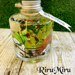 再販♪  ハーバリウム  ボタニカル系【グリーン&カラフルなフラットボトル】 再販♪ ハーバリウム ボタニカル系【グリーン&カラフルなフラットボトル】