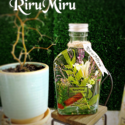 再販♪  ハーバリウム  ボタニカル系【グリーン&カラフルなフラットボトル】 再販♪ ハーバリウム ボタニカル系【グリーン&カラフルなフラットボトル】