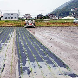 【わけあり・送料込み・メール便】有機ゆず入り白米角もち６個 300ｇ 5枚目の画像