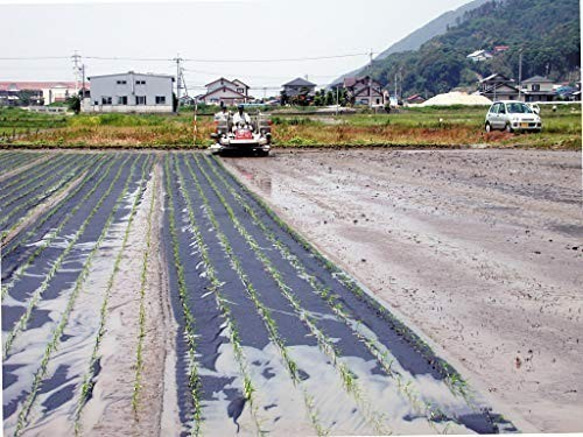 【わけあり・送料込み・メール便】有機ゆず入り白米角もち６個 300ｇ 5枚目の画像