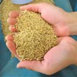 【メール便・送料込み 】特別栽培米 玄米 島根県産 3合（４５０ｇ）ﾊﾟｯｸ 9枚目の画像