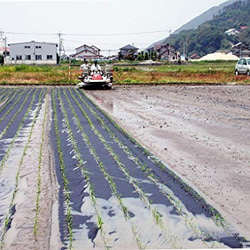 【メール便・送料込み】有機栽培米 玄米 島根県産　3合（４５０ｇ）ﾊﾟｯｸ 5枚目の画像