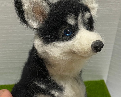 シベリアンハスキー 子犬 羊毛フェルト Wool Whisper 通販 12041598