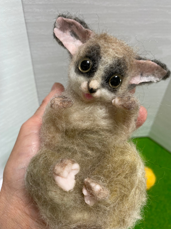 ショウガラゴ 羊毛フェルト Wool Whisper 通販 12851365｜Creema(クリーマ)