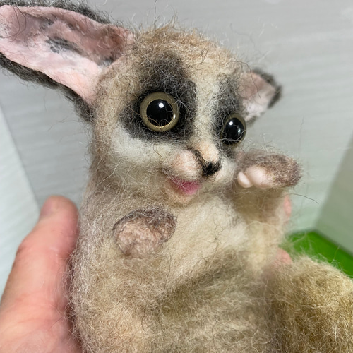 依頼】ショウガラゴ | bergosafety.com.br