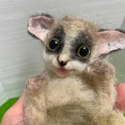 依頼】ショウガラゴ | bergosafety.com.br