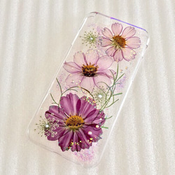 【再販】受注制作✨purple gradationコスモス✨押し花 iPhone5・5s・6・6s・7・8・Xケース 1枚目の画像