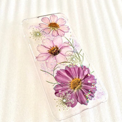 【再販】受注制作✨purple gradationコスモス✨押し花 iPhone5・5s・6・6s・7・8・Xケース 2枚目の画像