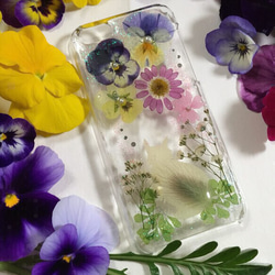 【再販】受注制作✨子猫と小花達✨押し花iPhone 11ケース 1枚目の画像