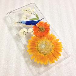 ジャリコケ様ご専用✨幸せの青い鳥✨押し花 Xperia XZ2 Compact SO-05K ケース 2枚目の画像