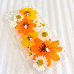 【再販】受注制作✨黄花コスモスとノースポール✨押し花スマホケース 2枚目の画像