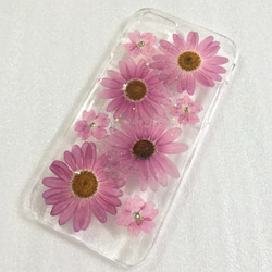 ✨ピンクのマーガレット達✨押し花 iphone 7・8 ケース 3枚目の画像