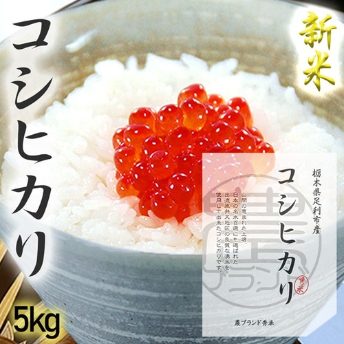 栃木県産コシヒカリ 令和5年度産 玄米 30キロ （令和5年産 栃木