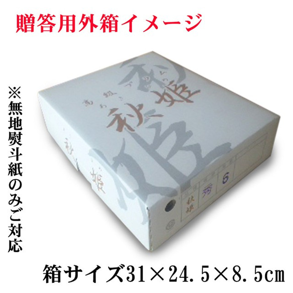 すもも プラム 秋姫 中玉 (L〜2L)×11～14玉 約1.2kg 黄色 スモモ 李 山形産 産直 4枚目の画像
