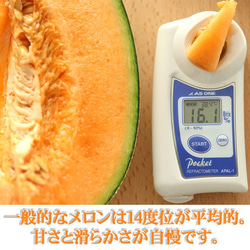メロン オレンジハート 特大玉 熊本産 プレミア 5L～6L 1.8kg以上 母の日 ギフト プレゼント フルーツ 果物 4枚目の画像