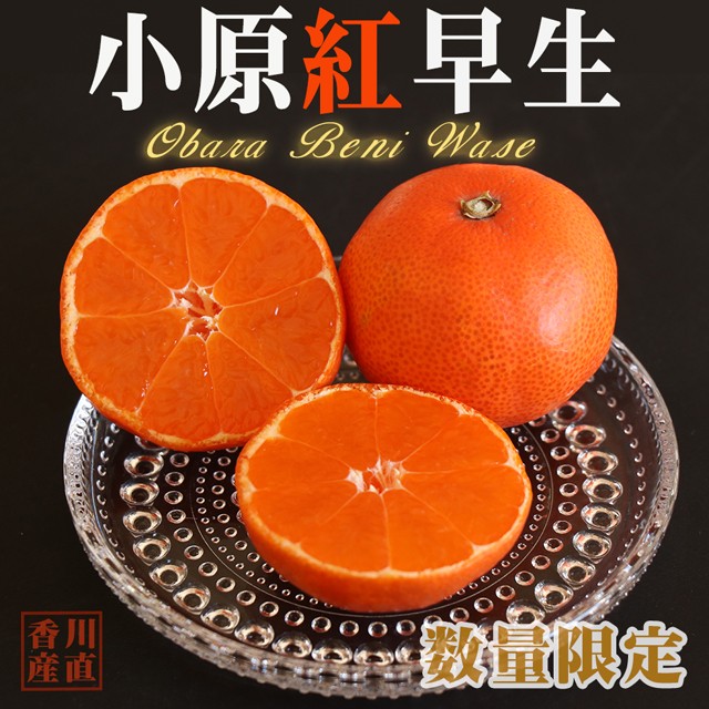 小原紅早生　小玉2S〜3Sサイズ　箱込み10kg 小原紅早生 みかん 約4.5kg 2S～3L玉 送料無料 お年賀 ギフト 香川産