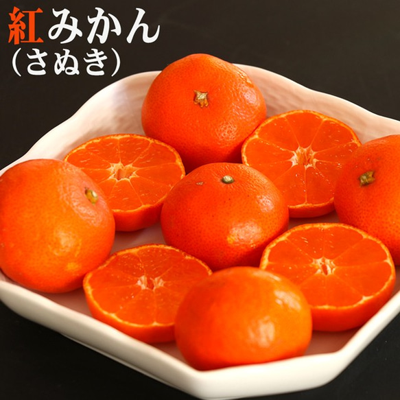 小原紅早生 みかん 約4.5kg 2S～3L玉 送料無料 お歳暮 御歳暮 香川産 産直 蜜柑 ミカン 柑橘 果物 2枚目の画像