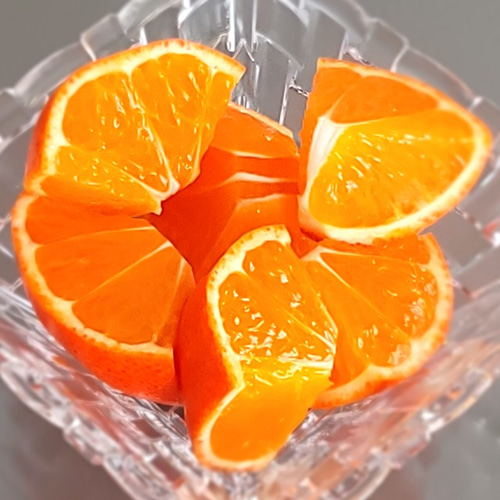 小原紅早生 みかん 約4.5kg 2S～3L玉 送料無料 お年賀 ギフト 香川産