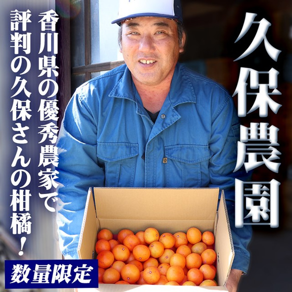 小原紅早生 みかん 約4.5kg 2S～3L玉 送料無料 お歳暮 御歳暮 香川産 産直 蜜柑 ミカン 柑橘 果物 8枚目の画像