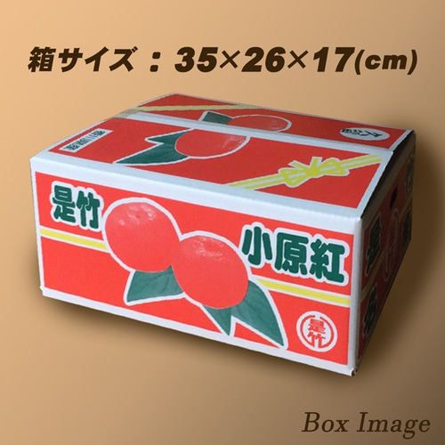 小原紅早生 みかん 約4.5kg 2S～3L玉 送料無料 お年賀 ギフト 香川産