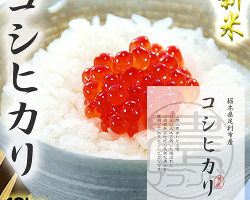 新米・栃木産コシヒカリ白米10kg 新米 栃木県産コシヒカリ 10kg 玄米