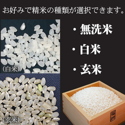 新米 こしひかり 10kg お米 コシヒカリ 無洗米 白米 玄米 令和5年 栃木産 低農薬 減化学肥料 米 こめ 3枚目の画像