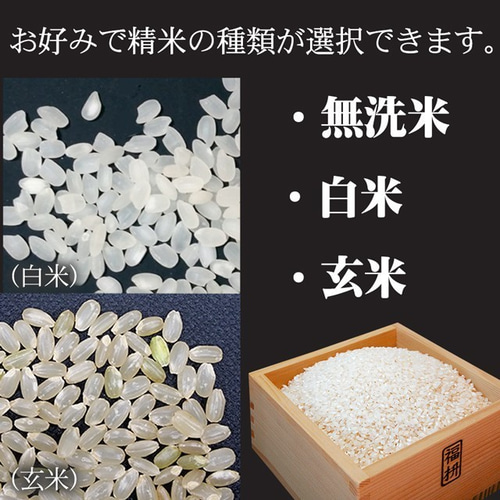 新米栃木産コシヒカリ無洗米10kg※量減りません！！在庫 処分