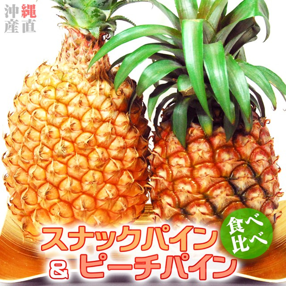 パイナップル 食べ比べ スナックパイン 〔約1kg×1〕& ピーチパイン 〔約600g×2玉〕 沖縄県 パイン フルーツ 1枚目の画像