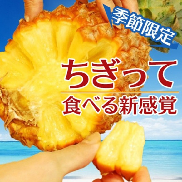 パイナップル 食べ比べ スナックパイン 〔約1kg×1〕& ピーチパイン 〔約600g×2玉〕 沖縄県 パイン フルーツ 2枚目の画像