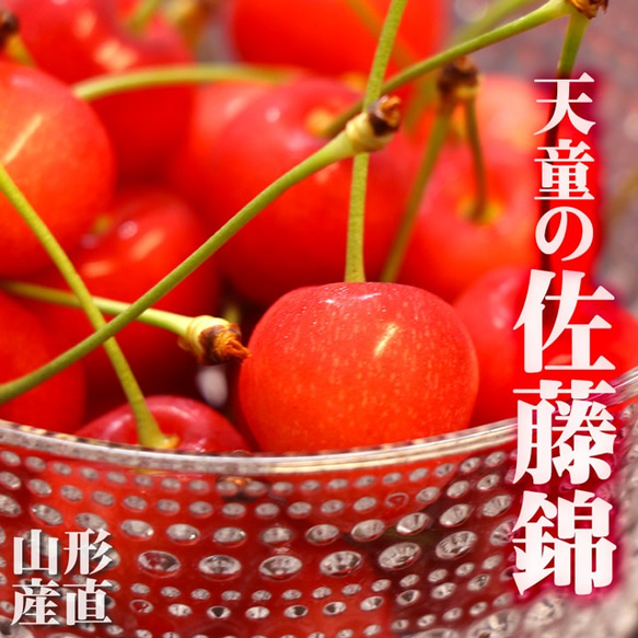 予約 さくらんぼ 佐藤錦 約700g Lサイズ 送料無料 お中元 御中元 予約 さくらんぼ 佐藤錦 約700g Lサイズ 送料無料 お中元 御中元