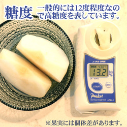 【予約】 梨 豊水 3kg (約) 大玉 5L(約500g)×6個 送料無料 なし ナシ 和梨 栃木産 フルーツくだもの 3枚目の画像