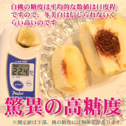 白桃 桃 冬美白 大玉約1kg〔約340g×3個〕 プレミアム 岡山県 お歳暮