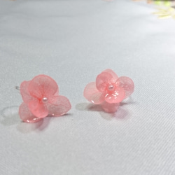 【お試し価格】《 2枚重ね 》紫陽花のイヤリング or ピアス(フラミンゴ)   ﾃﾞﾘｹｰﾄ ｼﾘｰｽﾞ 1枚目の画像