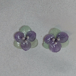 【お試し価格】《 2枚重ね 》紫陽花のイヤリング (ラベンダー & ミント)   ﾃﾞﾘｹｰﾄ ｼﾘｰｽﾞ 1枚目の画像