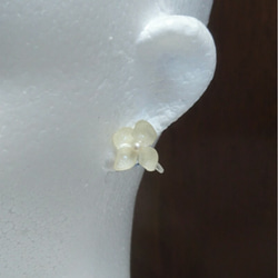シンプル紫陽花のノンホールピアス(イヤリング)《ホワイト》ﾃﾞﾘｹｰﾄ ｼﾘｰｽﾞ 1枚目の画像