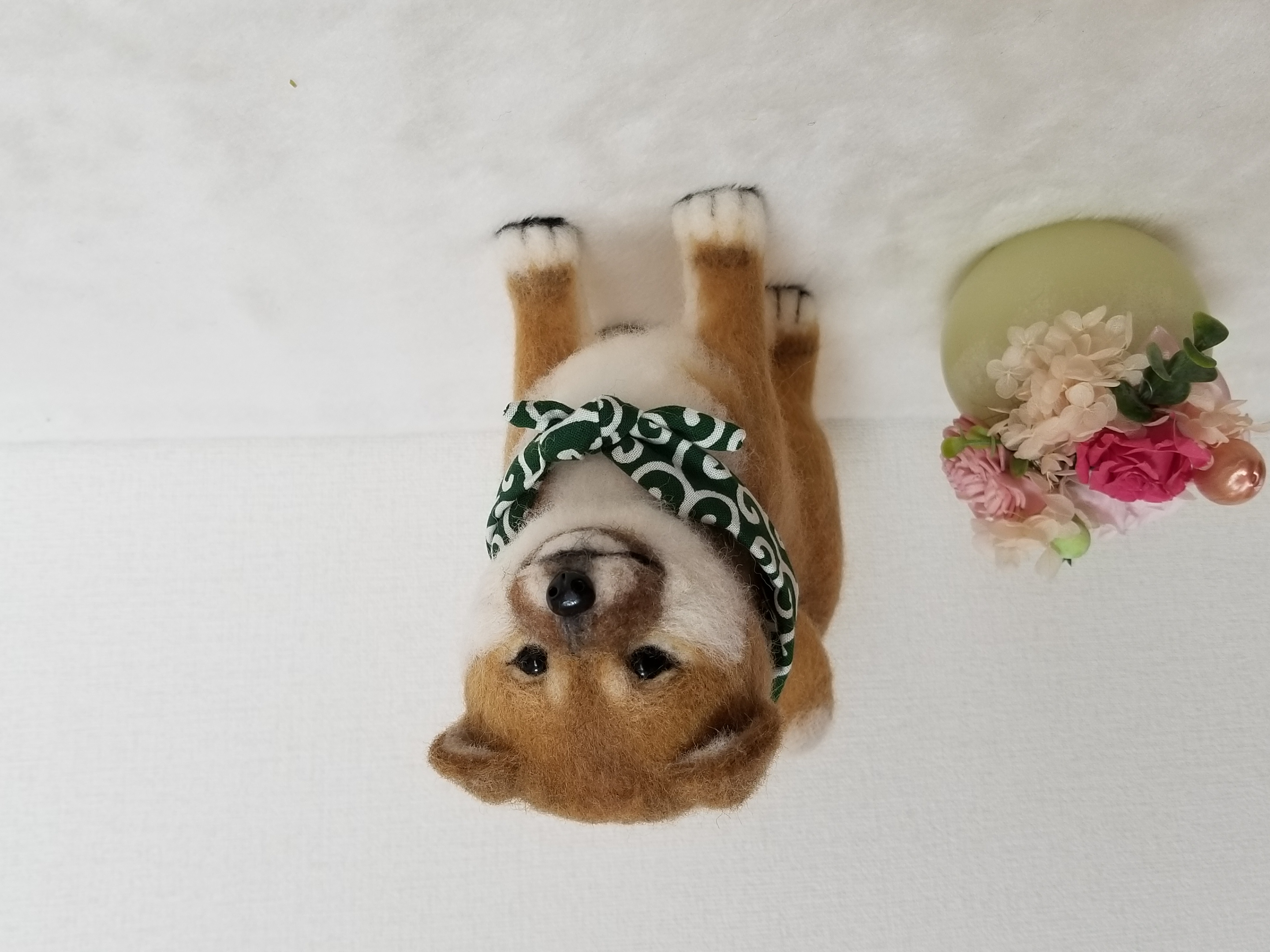 羊毛フェルト豆柴 柴犬子犬 完成品 羊毛フェルト SweetDog ふぅ