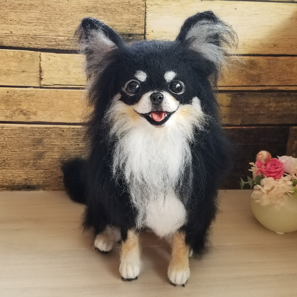 羊毛フェルト チワワちゃん ブラックタン チワワ完成品 羊毛フェルト 