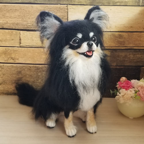 羊毛フェルト チワワちゃん ブラックタン チワワ完成品 羊毛フェルト