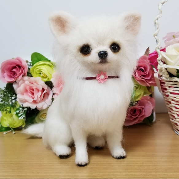 羊毛フェルト チワワちゃん ホワイトチワワ完成品 羊毛フェルト 羊毛フェルト チワワちゃん ホワイトチワワ完成品 羊毛フェルト