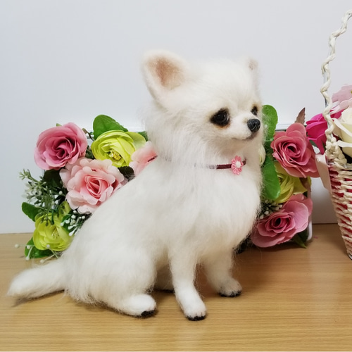 羊毛フェルト チワワちゃん ホワイトチワワ完成品 羊毛フェルト