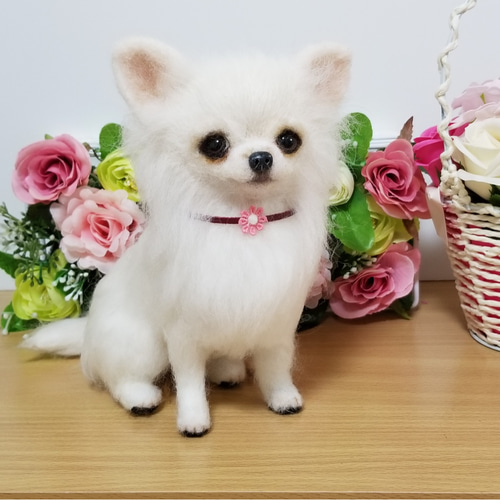 羊毛フェルト チワワちゃん ホワイトチワワ完成品 羊毛フェルト
