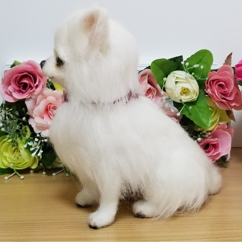 羊毛フェルト チワワちゃん ホワイトチワワ完成品 羊毛フェルト